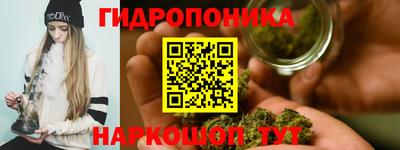 PSILOCYBIN Моздок