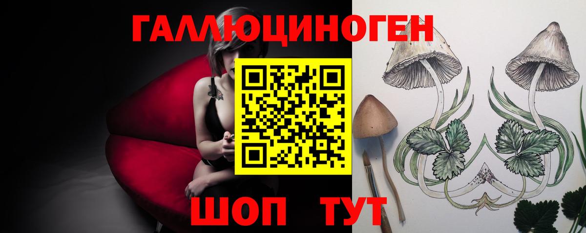 Галлюциногенные грибы прущие грибы Балтийск