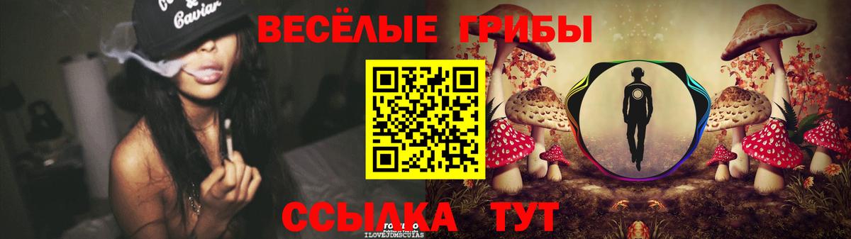 Балтийск  Галлюциногенные грибы GOLDEN TEACHER  Вход с VPN  Галлюциногенные грибы прущие грибы 